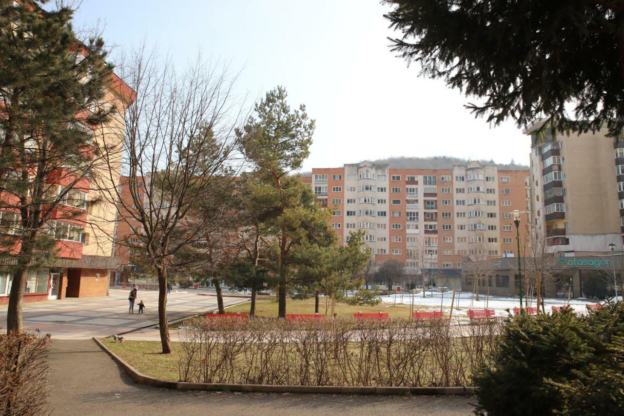 Cozy Apartment In Брашов Экстерьер фото