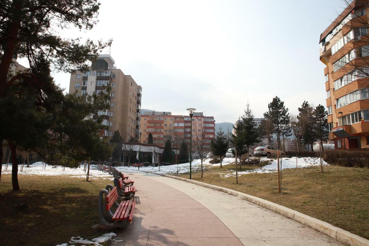 Cozy Apartment In Брашов Экстерьер фото